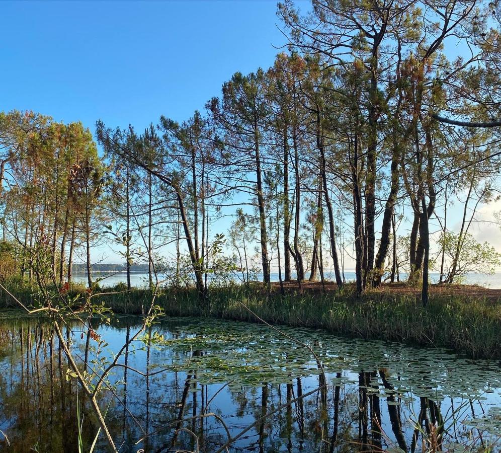 Apt Les Grands Pins, Entre Foret, Lac Et Ocean كاركان المظهر الخارجي الصورة